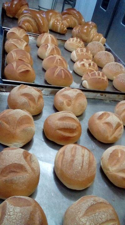 Panificadora Bassanense