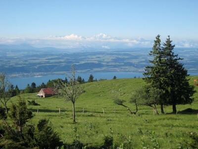 Roche Devant