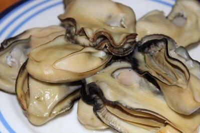 岩車かき (Iwaguruma Oyster)