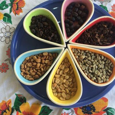 Coffee Lenca