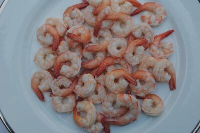 Shrimps agency