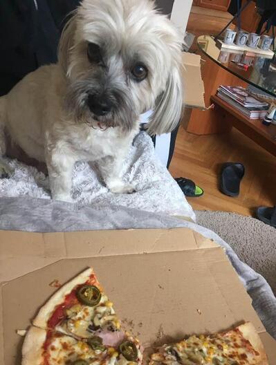 Don Corleone Pizzéria