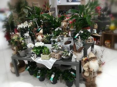 Cafétéria E.Leclerc