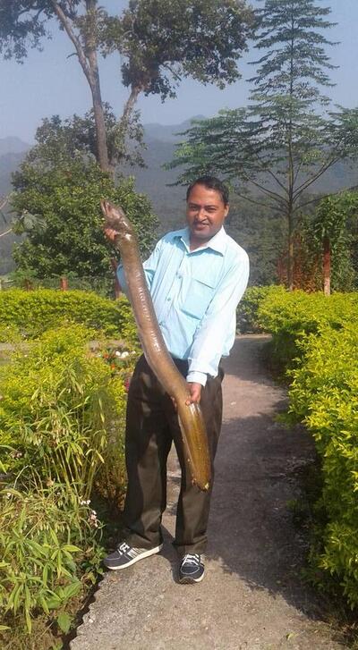 Kali Gandaki River Side Restaurant and Loudge
