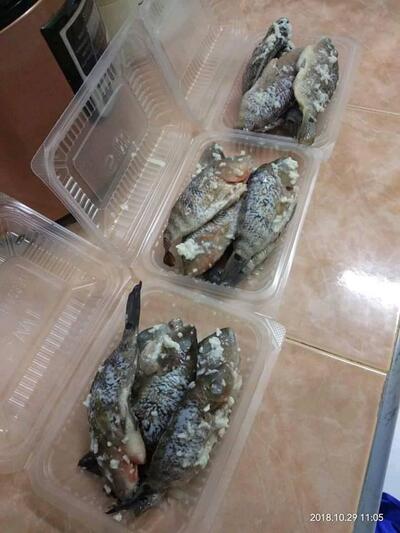 Seafood BAKAR Kampar