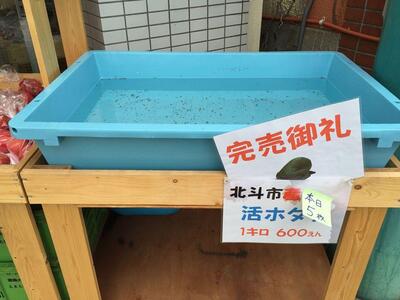 新鮮素材 藤田商店
