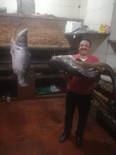 سلسلة مطاعم سمكمك