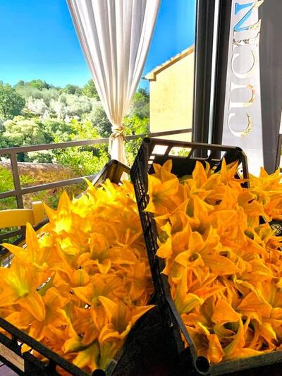 Io Cucino Gionata D'Alessi