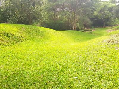 LURIZ Gardenz Chilanga