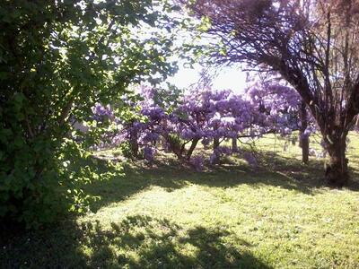 Agriturismo San Lorenzo