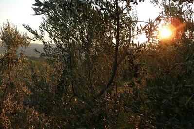 kekko Fach Sushi bar