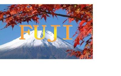 Fuji Eat foto