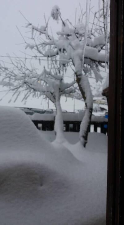 La Capanna - Pintura di Bolognola