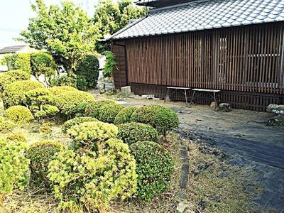 宮崎釜揚げうどん 豊宝