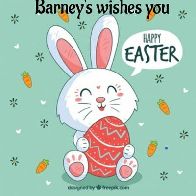 Barneys Bar & Resraurant
