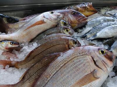 Fish House Ayia Napa Ayia Napa