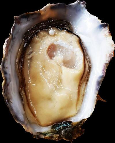 Oysters R Us - Wilderness, Garden Route
