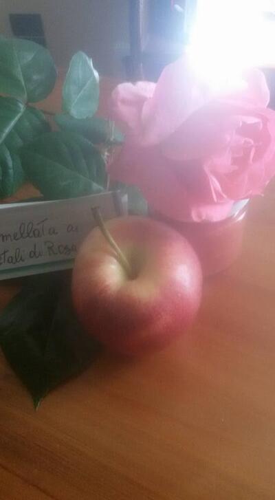 Agriturismo Gli Ulivi di Cherubini Lauro