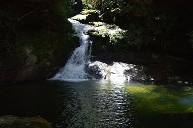 Bar Restaurante e Pesqueiro Do Lú Cachoeira Da Esmeralda Luminárias MG