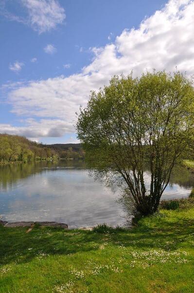 Chez Guibs-restaurant du Lac Vert Catus