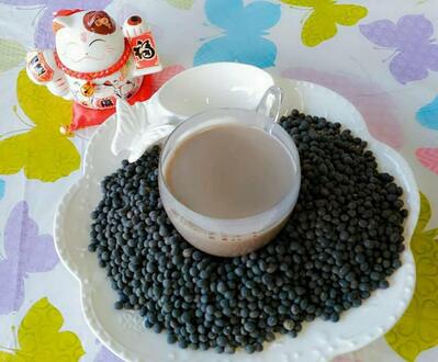 小蝴蝶飯糰