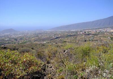 La Cueva de Nemesio Arafo