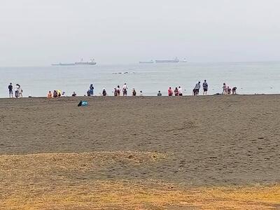 海忠寶活海產