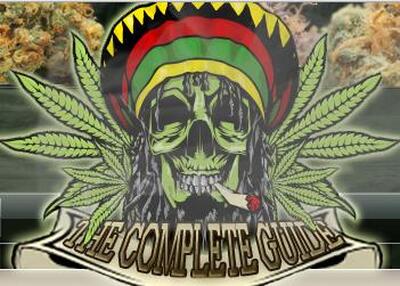 حزب الجرانا الشراب و الماريخوانا