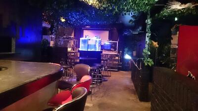 ANIMAL CAFE&BAR ZOO