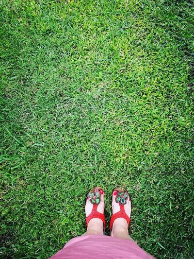 Agriturismo Giardino di Iti Rossano