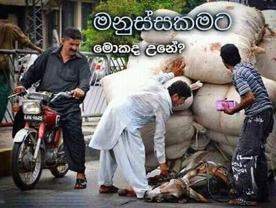 Jayamal iyage Raa bomu