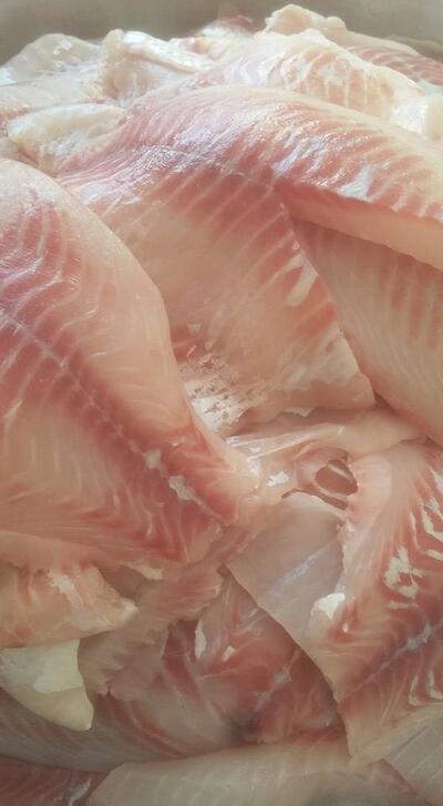 Rodriguinho Petiscaria foto