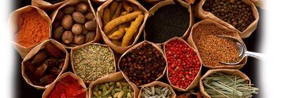 New Asia & Bulgaaria Veinid Maardu