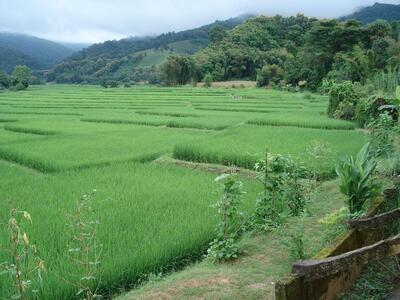 RUAN THAI MAE PLOY Ergué-Gabéric