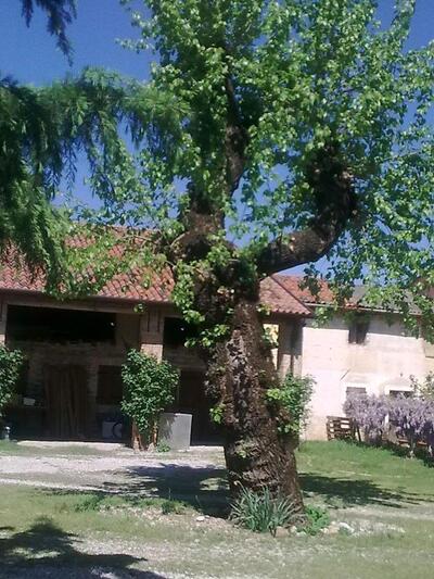 Gelateria Dolce Vita