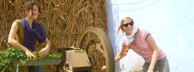 Murthal - a village retreat