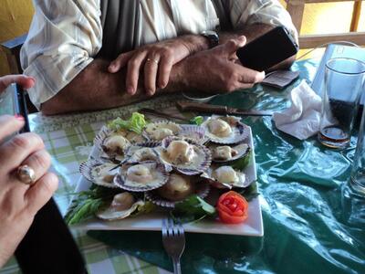 Restaurant turistico "Ostion Dorado", Arica