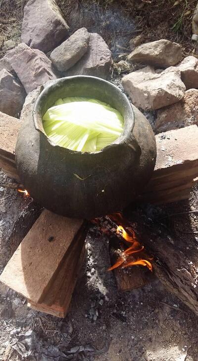 PAZ Soluciones Gastronómicas