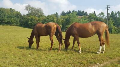 Agriturismo Da Marietto Viggiù