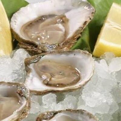 Ittiturismo Casa Marola