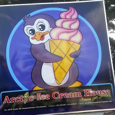 Arctic ice cream house