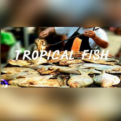 Tropical FISH sucre capital