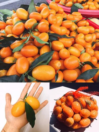 火金姑冰菓室