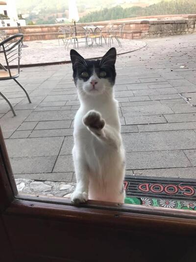 Siediti a un tavolo di Stella Cafe'
