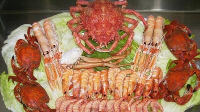 Dementia care Canavieiras BA