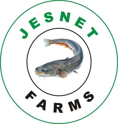 Fresh & Smoked Fish - Catfish