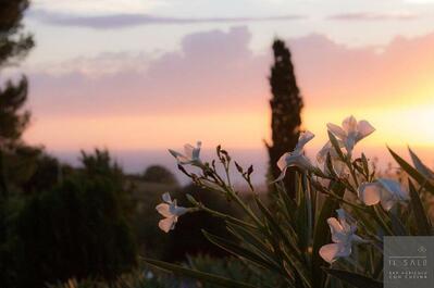 Il Sal8 Bar Agricolo