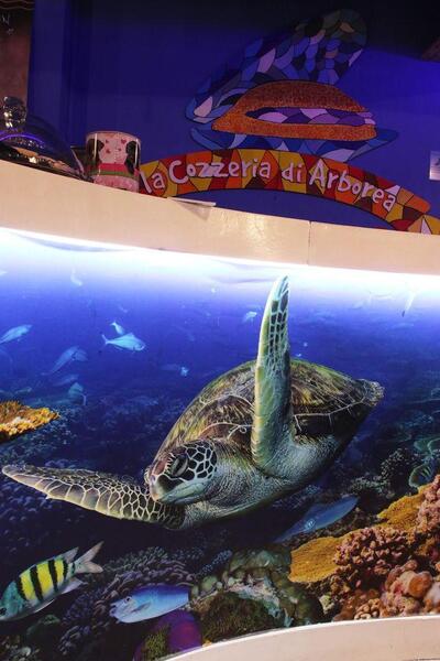 Chef Renato Serafini Quartu Sant'Elena