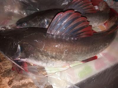 ร้านอาหารเจนจิรา กุดน้ำใส