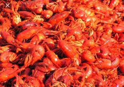 BG's Crawfish